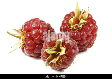 frisch gepflückte Himbeeren isoliert auf weißem Hintergrund Stockfoto