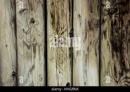 Holz Hintergrundtextur Stockfoto