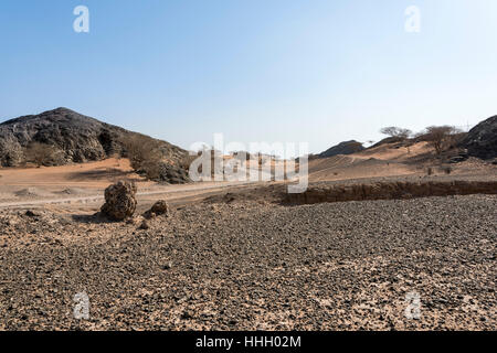 Ein Track in Wadi Stockfoto