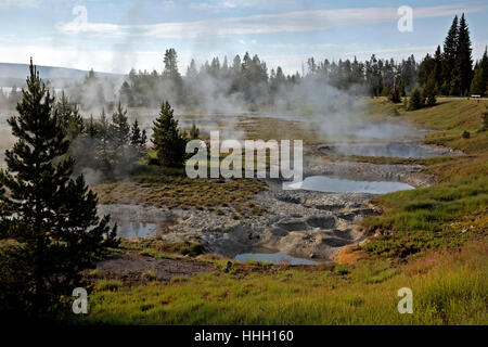 WYOMING - Dampf steigt aus den heißen Quellen Pools in West Thumb Geyser Basin am Yellowstone Lake im Yellowstone National Park. Stockfoto