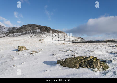 Robin Proctor Narbe im winter Stockfoto