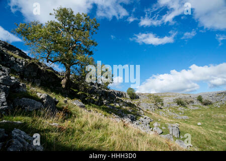 Crummack Dale an Diebe Moss in den Yorkshire Dales Stockfoto