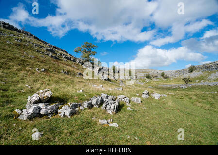 Crummack Dale an Diebe Moss in den Yorkshire Dales Stockfoto