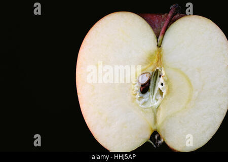 Japanische Apple Slice auf schwarz Stockfoto