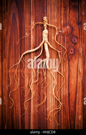 Trockenen Ginseng auf Holz Hintergrund (Konzept der traditionellen chinesischen Medizin) Stockfoto