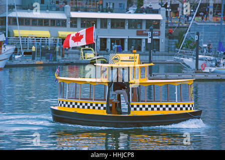 Am bunten Hafen Taxi in Victoria für Kreuzungen und Touren. SCO 11.642. Stockfoto