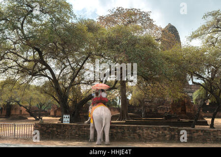 Touristen auf Elefanten Sightseeing in Ayutthaya Historical Park, Ayutthaya, Thailand Stockfoto