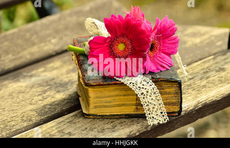 Ein altes Buch und eine schöne Blume Stockfoto