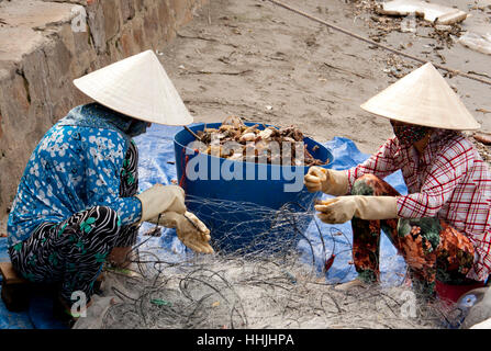 Frau mit konischen Hut sammeln von Meeresfrüchten, Vietnam Stockfoto