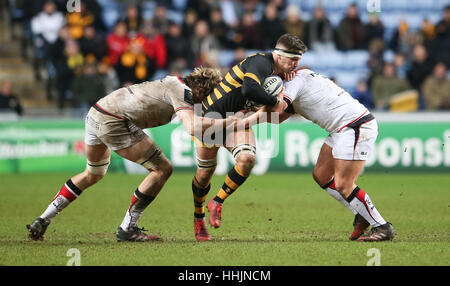 Wespen Guy Thompson während der European Champions Cup, Pool zwei match bei der Ricoh Arena in Coventry. PRESSEVERBAND Foto. Bild Datum: Samstag, 14. Januar 2017. Finden Sie unter PA Geschichte RUGBYU Wespen. Bildnachweis sollte lauten: Scott Heavey/PA Wire. Einschränkungen: Nur zur redaktionellen Verwendung. Keine kommerzielle Nutzung. Stockfoto