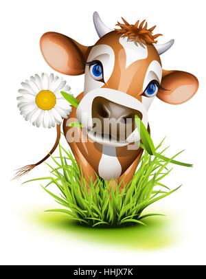 Landwirtschaft, Landwirtschaft, Milch, Kuh, Bauernhof, Rind, Kalb, Jersey, Cartoon, süß, Stockfoto