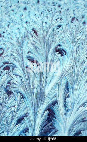 Schöne glänzende frostigen Muster auf Glas in Form von pelzigen Zweige und Federn Stockfoto