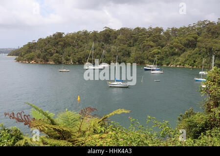 Taylors Bay, Mosman auf Sydneys Lower North Shore. Stockfoto