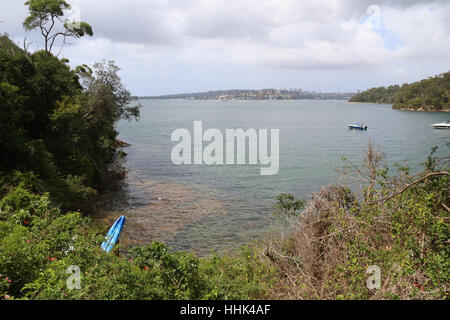 Taylors Bay, Mosman auf Sydneys Lower North Shore. Stockfoto