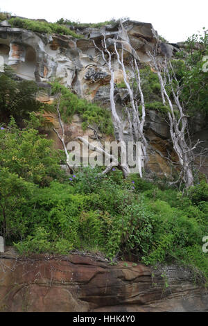 Blick von der Klippe zwischen Balmoral Beach und Chinamans Beach in Mosman, Sydney. Stockfoto