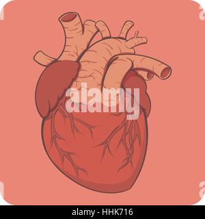 Cartoon-Stil geschichteten Vektor-Illustration - naturalistischen Menschenherz hell gefärbt. Stock Vektor