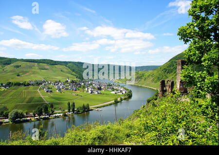 Mosel, Rheinland-Pfalz, Fluss, Wasser, Weinberge, Beil Stein, Sommer, Stockfoto