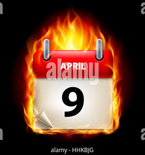 in der Nähe, Gruß, schön, beauteously, schön, Objektkunst, einzeln, isoliert, Stockfoto