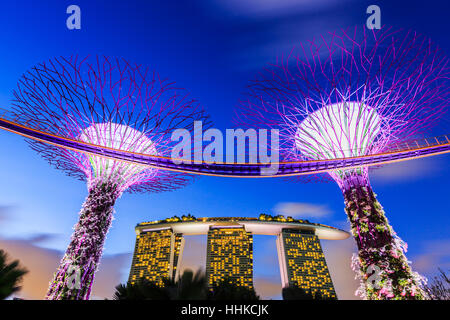 Singapur, Singapur - 8. Januar 2016 Supertree Grove in der Gradens an der Bucht Stockfoto