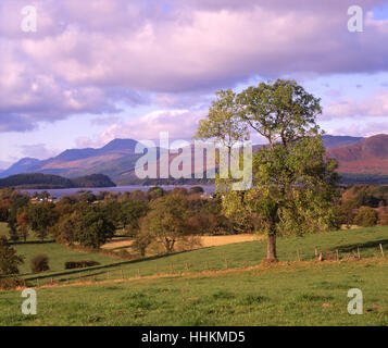 Sommer Blick auf Loch Lomond und Ben Lomond, Dumbartonshire, Schottland. Stockfoto