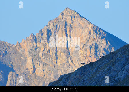 Alpen, Frankreich, Erosion, Einstellung, Sonne, Verwitterung, Felsen, Berge, Sonnenuntergang, Breite,