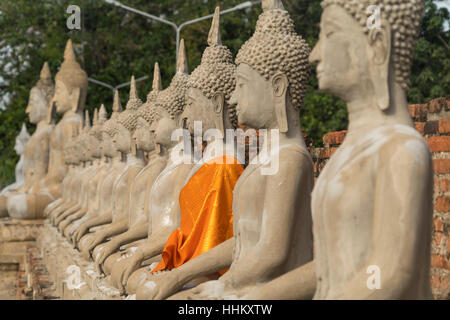 Reihe von Buddhastatuen im Wat Yai Chai Mongkons, Ayutthaya Historical Park, Thailand, Asien Stockfoto