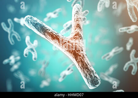 XY-Chromosom, rote in der Mitte, Konzept der Infektion, Mutation, Krankheit, mit Focus Effekt. 3D-Rendering Stockfoto