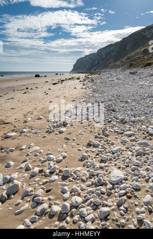 Weissen Sie Kiesel am Strand von Speeton Sands mit Blick auf Buckton Klippen, Filey Bay, North Yorkshire, England. Stockfoto