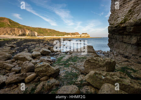 Felsen am Thornwick Bucht in der Nähe von Flamborough, North Yorkshire, England. Stockfoto