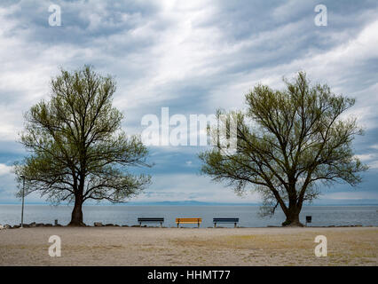 Gelbe und blaue Bänke zwischen den Bäumen am Ufer, bewölkter Himmel, regnerische Stimmung, Bodensee, Rorschach, Kanton St. Gallen Stockfoto