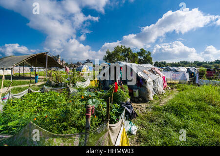 Gemüse wächst im Zeltlager für Menschen, die Häuser in 2015 Erdbeben, Kathmandu, Nepal Kathmandu Bezirk verloren Stockfoto