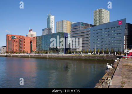 Moderne Wohnhäuser und Bürogebäude, Kop van Zuid, Rotterdam, Holland, Niederlande Stockfoto