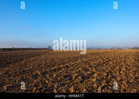 Gefrostet Schneepflug Boden mit Hecken und entfernte Bäume in Yorkshire Wolds Landschaft unter blauem Himmel im Winter. Stockfoto