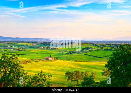 Maremma, Sonnenuntergang Landschaft im ländlichen Raum. Landschaft Bauernhof und grüne Felder. Insel Elba am Horizont. Toskana, Italien, Europa. Stockfoto