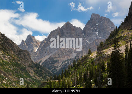 Grand Teton, Mount Owen und Teewinot der Teton Gipfeln über die North Fork des Cascade Canyon. Grand Teton Nationalpark, Wyoming Stockfoto