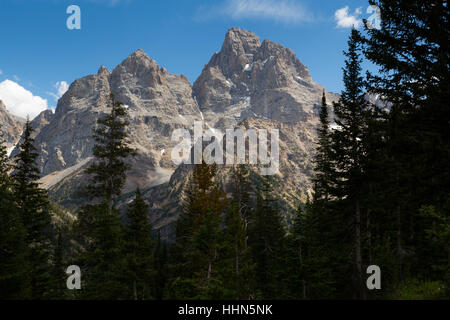 Die Kathedrale-Gruppe der Teton Gipfeln über immergrünen Bäumen in North Fork Cascade Canyon. Grand Teton Nationalpark, Wyoming Stockfoto