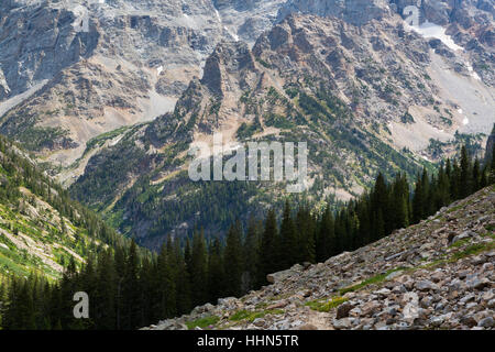 Die Basis der Kathedrale Gruppe von Teton Gipfeln überragt die North Fork des Cascade Canyon. Grand Teton Nationalpark, Wyoming Stockfoto