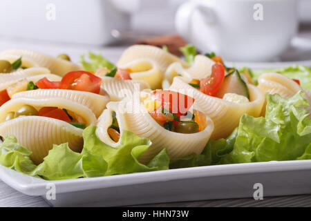 Salat aus frischen Gemüsen in Lumakoni Nudeln auf einem weißen Teller. Closeup. horizontale Stockfoto