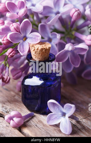 Auszug aus den duftenden Flieder Blüten hautnah auf dem Tisch. vertikale Stockfoto