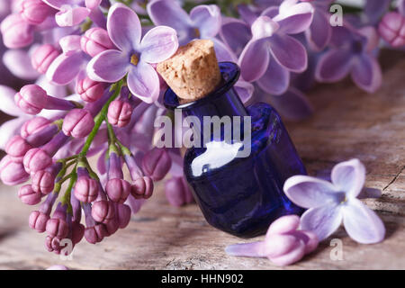 Massage-Öl aus duftenden Flieder Blüten Nahaufnahme auf dem Tisch. horizontale Stockfoto