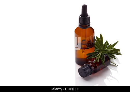 Ätherisches Rosmarinöl in kleinen Flaschen, Aromatherapie Einstellung isoliert auf weißem Hintergrund. Selektiven Fokus Stockfoto