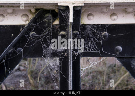 Frostbedeckte Spinnweben auf einer Eisenbrücke. VEREINIGTES KÖNIGREICH Stockfoto