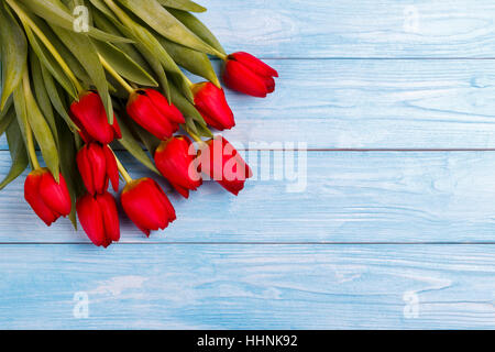 Rote Tulpen auf blauen Holztisch. Draufsicht mit Textfreiraum Stockfoto