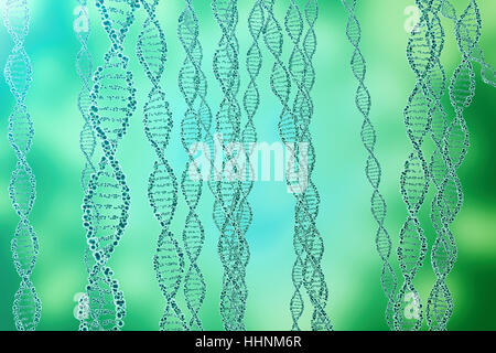 DNA-Molekül, Struktur. Nahaufnahme des menschlichen Genoms Konzept. 3D-Rendering Medizin-Konzept Stockfoto