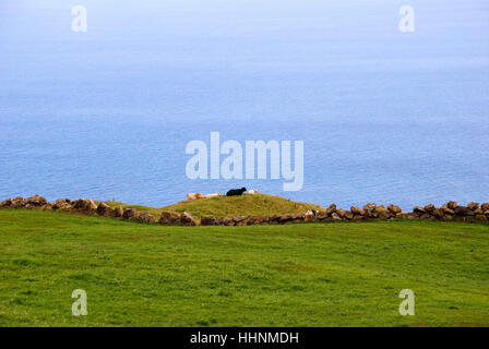 blau, Haus, Gebäude, beauteously, schön, schön, Baum, Berg, Horizont, Stockfoto