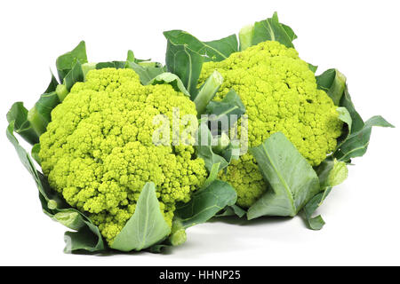 grüner Blumenkohl Köpfe isoliert auf weißem Hintergrund Stockfoto