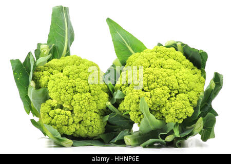 grüner Blumenkohl Köpfe isoliert auf weißem Hintergrund Stockfoto