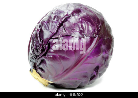 Rotkohl, isoliert auf weißem Hintergrund Stockfoto