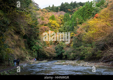 Yoro Keikoku im Herbst, Chiba, Japan Stockfoto