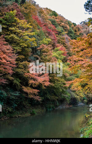 Yoro Keikoku im Herbst, Chiba, Japan Stockfoto